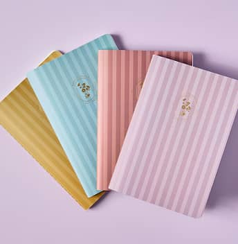 Four stripped multicolor petite planners splayed out. Click to shop bundles.