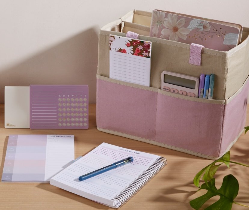 Pastel Medium Acrylic Desk Organizer by Erin Condren