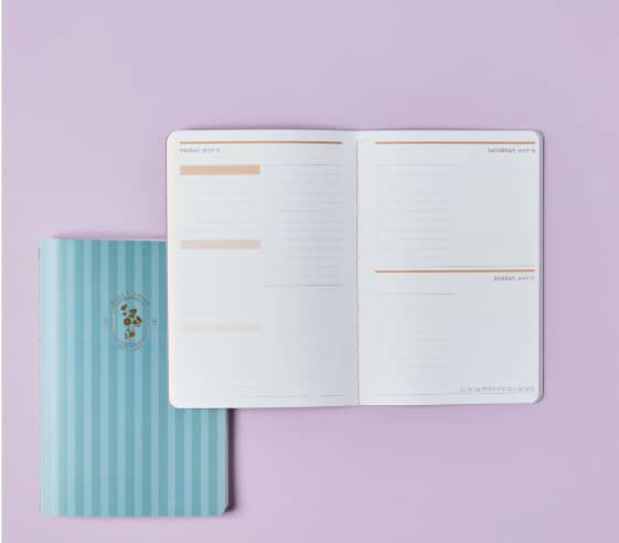 open daily petite planner on top of a blue stripped planner. Click to shop Petite Planners.