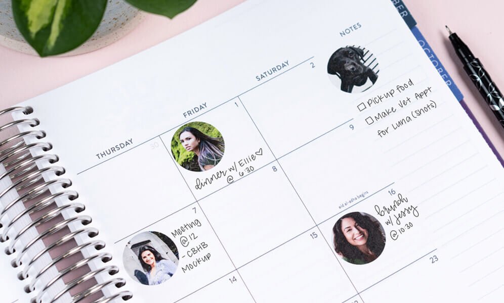 Custom Daily Productivity Stickers by Erin Condren