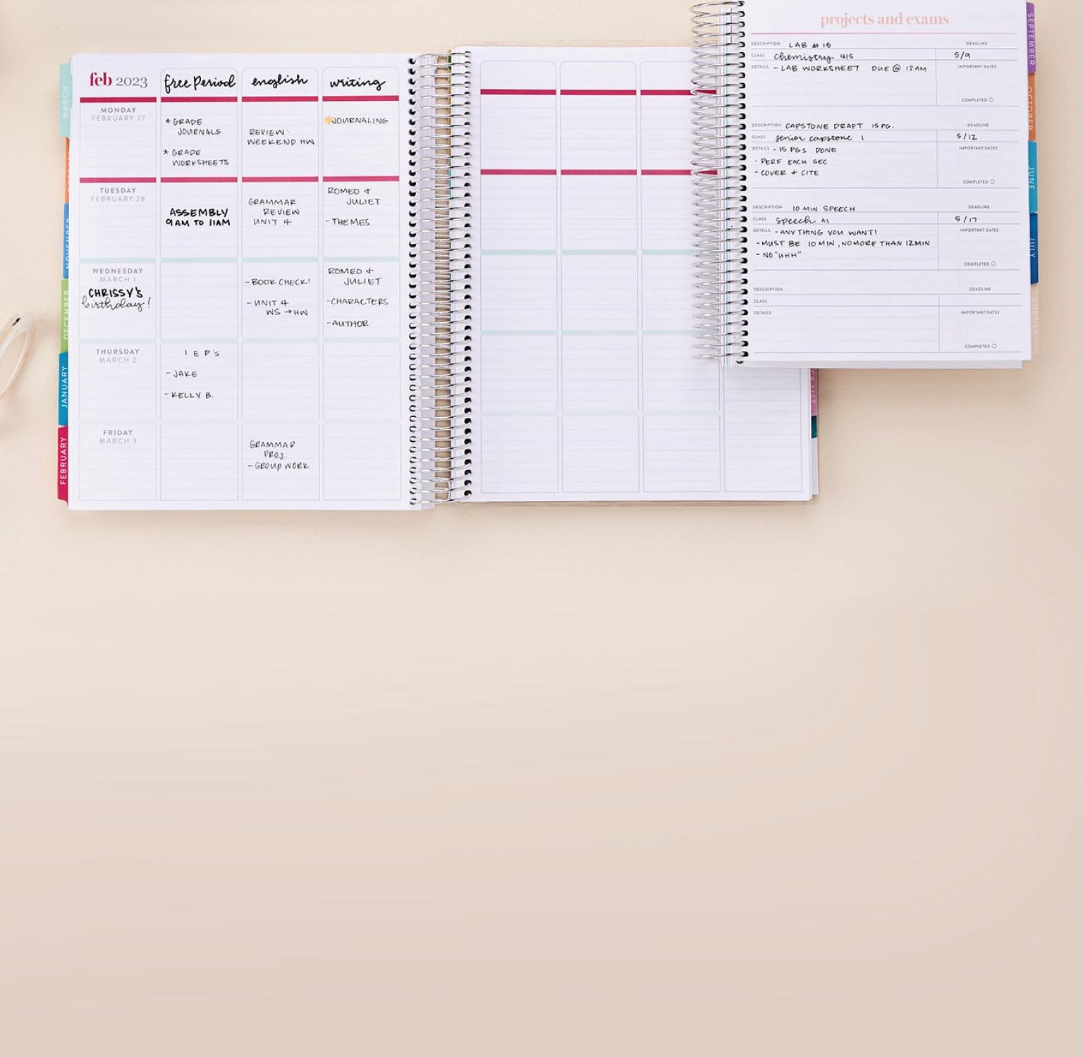 Custom daily planner 3 month planner 6 month planner 1 page per