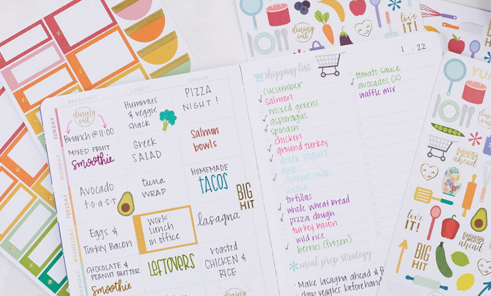 Using Only Erin Condren Stickers! Plan with Me: New 2016-17 EC Accessories  