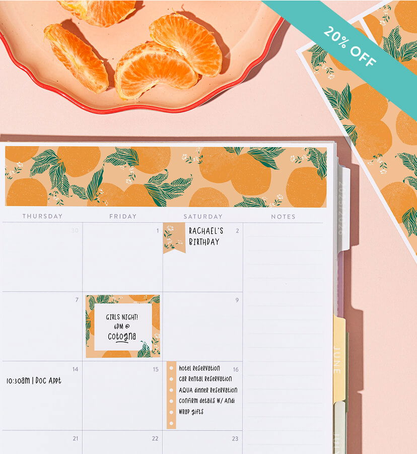 New summer bundles. Click to shop now