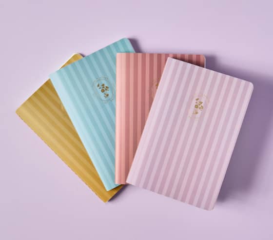Four stripped multicolor petite planners splayed out. Click to shop bundles.