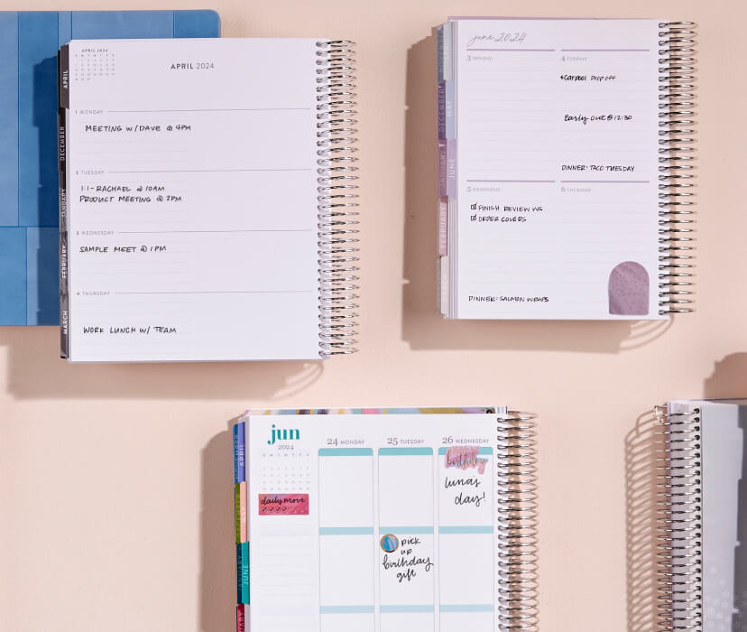 LifePlanner™ | Custom Weekly Planner | Erin Condren