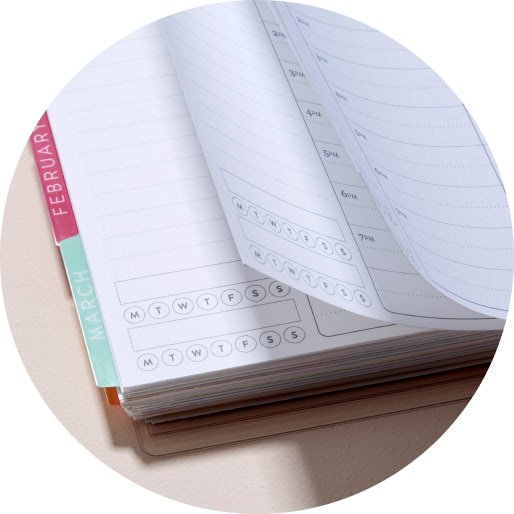 The Perfect Planner Collection - Monthly/Weekly Flexible Structures -  (Undated Full Year)