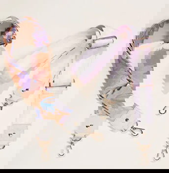 Interchangeable Bag Straps