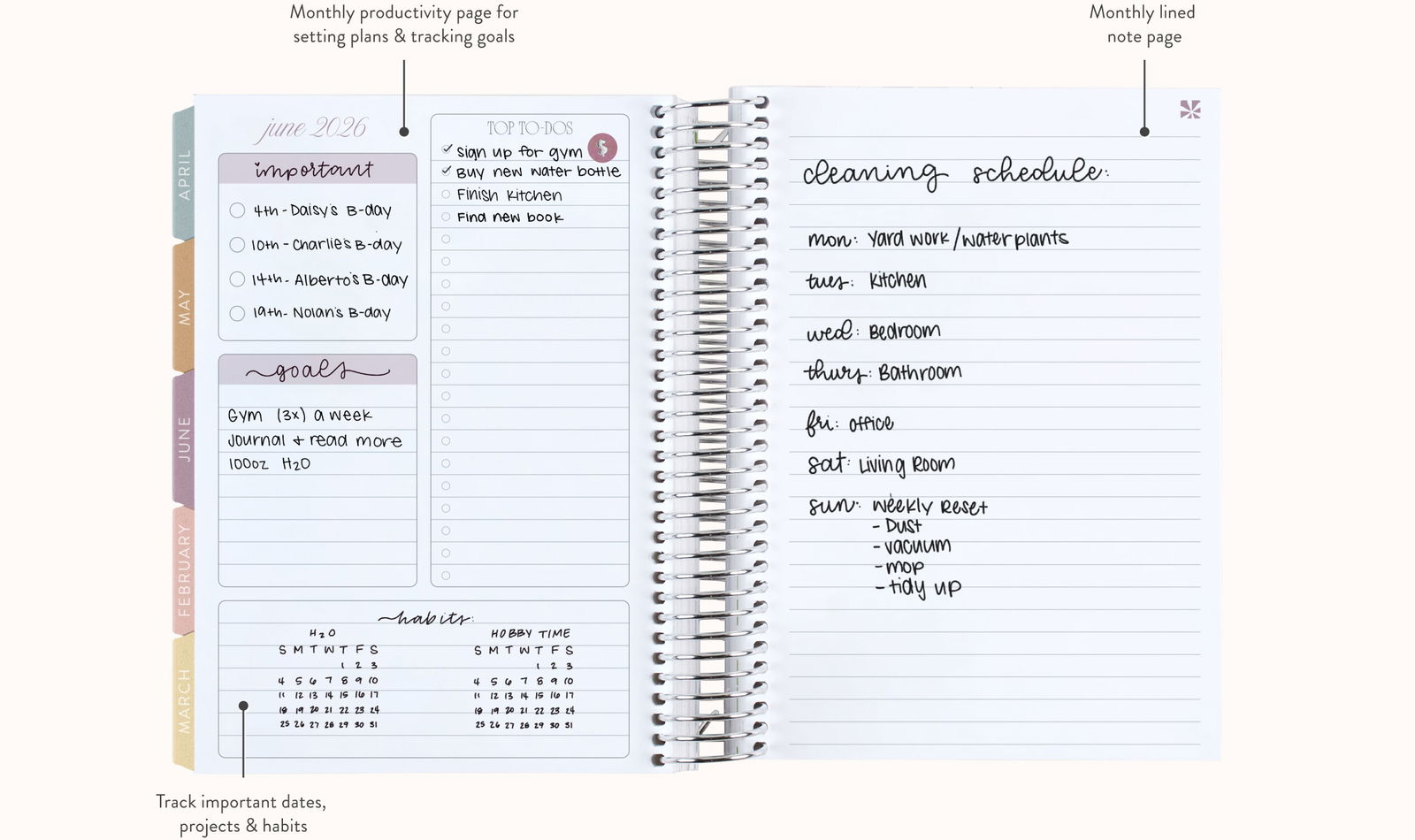 Pocket Size Daily Task Planner Insert, Sized and Punched for